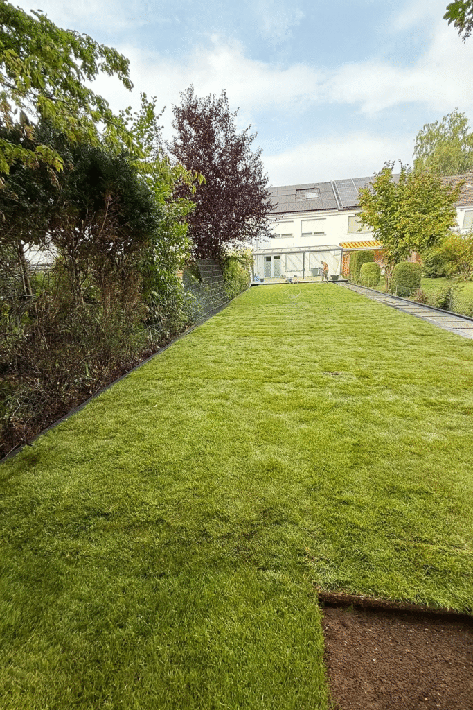 Rollrasen verlegen lassen Lünen